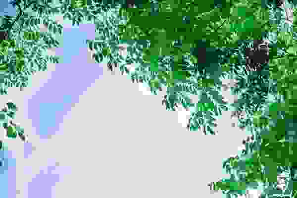 描写初夏的优美词语盘点 临沂人知道多少形容夏天的成语