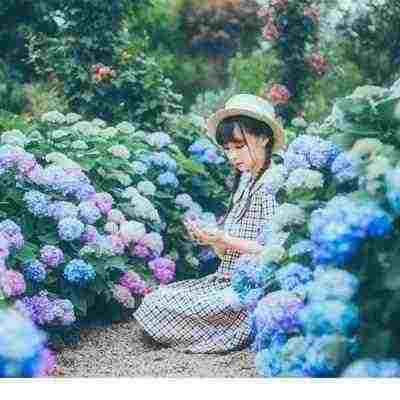 小学生夸张句摘抄大全 夸张句大全优美1000句