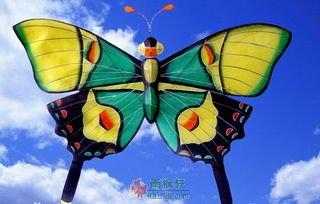 鹞子、风筝、纸鸢