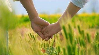 相爱一千个春天