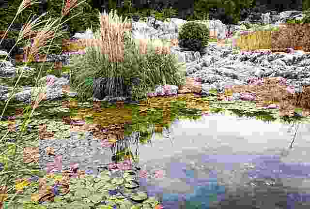 「散文」岁岁重阳,今又重阳,重阳佳节漫话