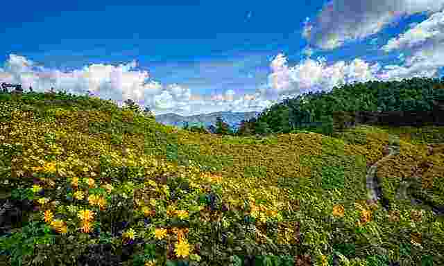 「散文」岁岁重阳,今又重阳,重阳佳节漫话