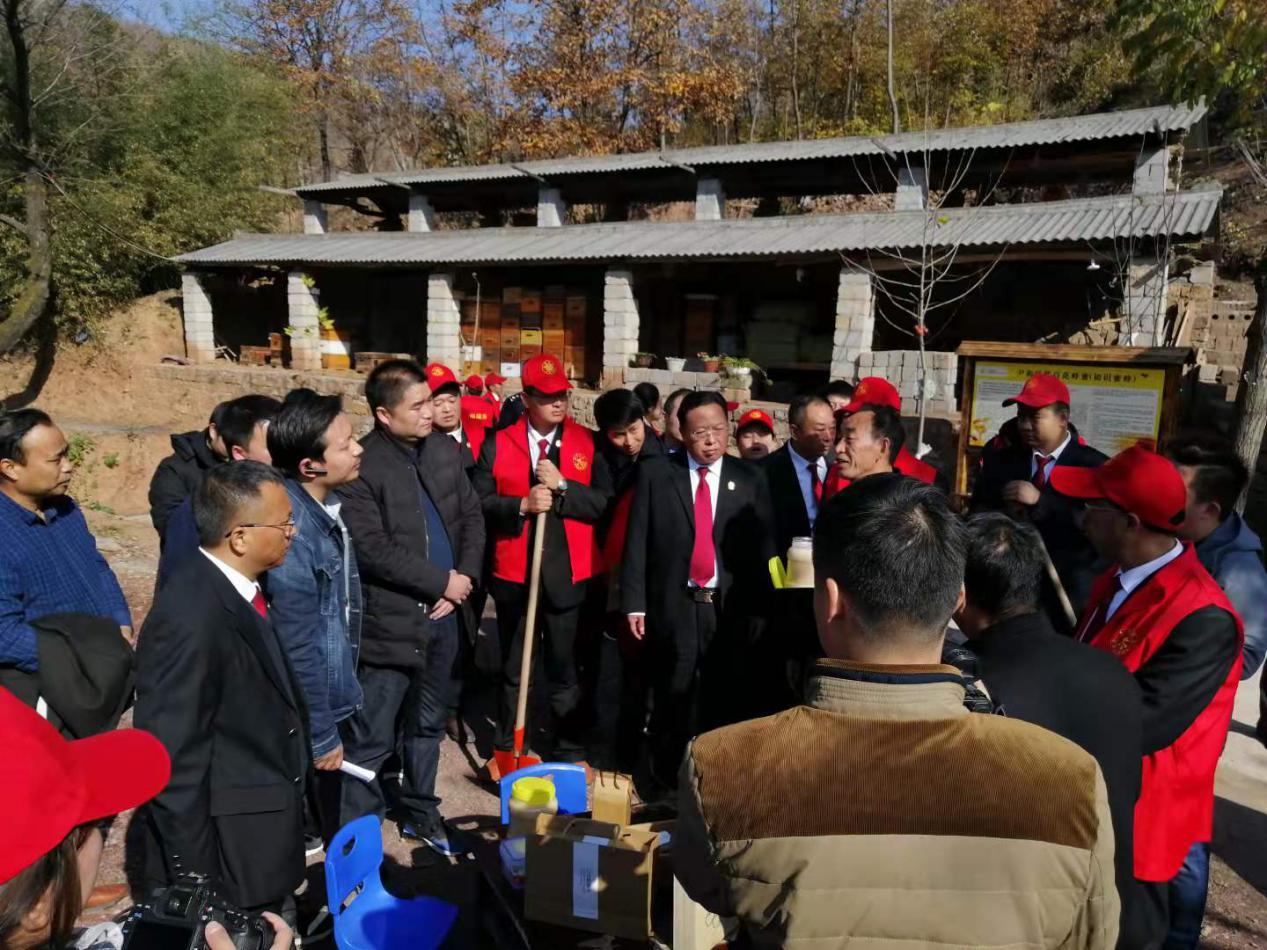 陈帅良鲁山县蜂蜜养蜂人法分割的情缘