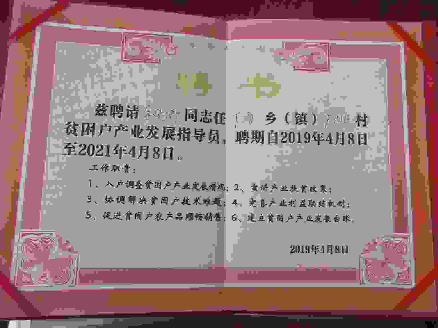 陈帅良鲁山县蜂蜜养蜂人法分割的情缘