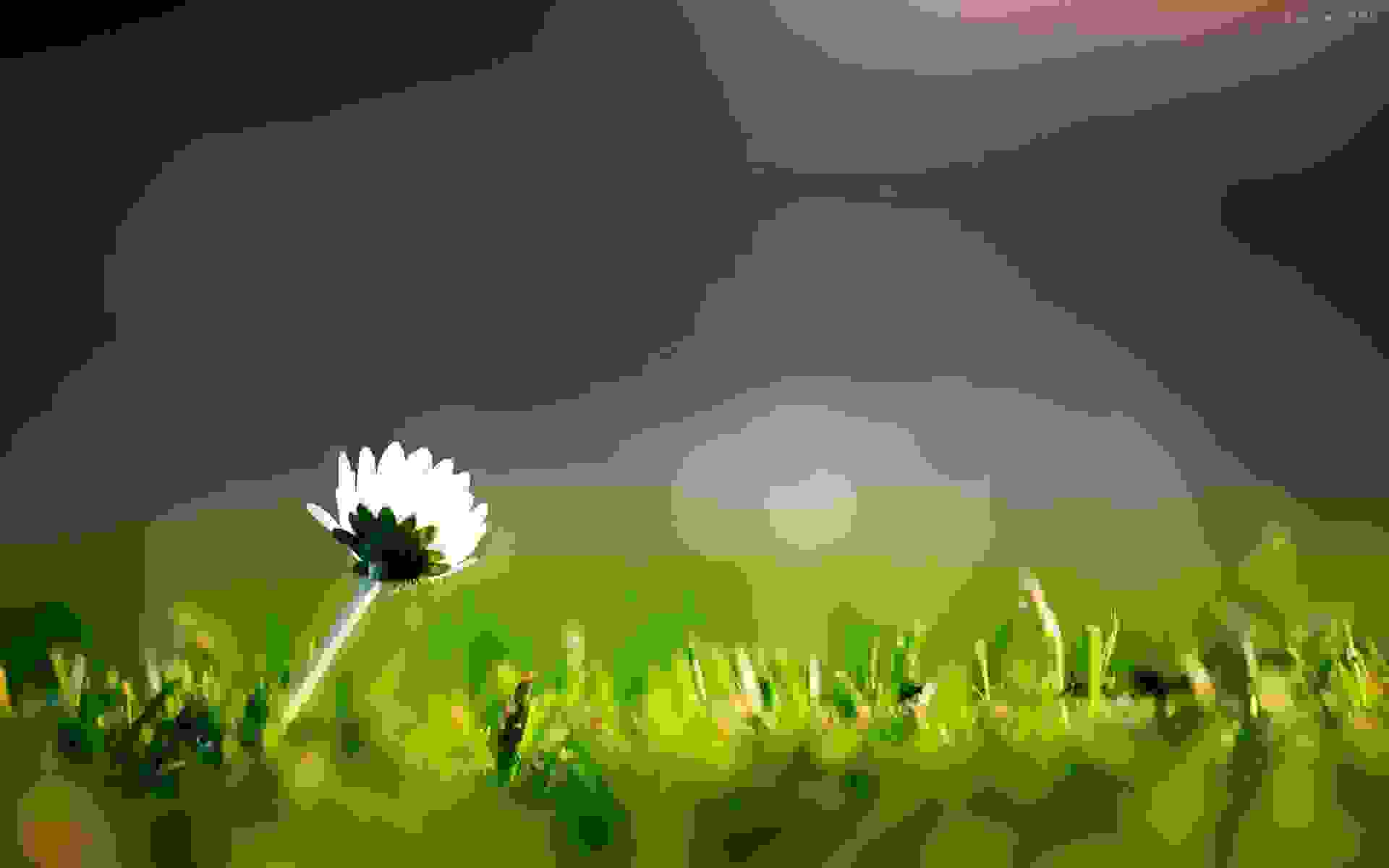 朱自清散文《春》原文及赏析