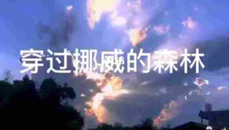 穿过挪威的森林是什么梗？