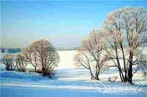 美文摘抄600字大全