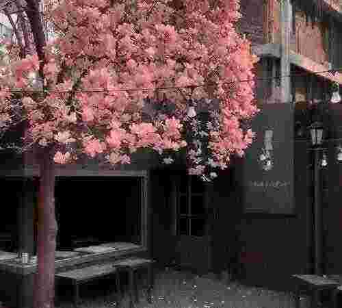 万能作文结尾句子,优美富有哲理,值得收藏