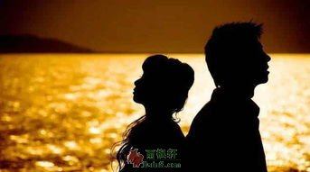 连语言似乎都是多余的