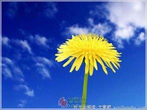 活着，就得有料