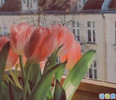 网易云刻骨铭心的浪漫的句子 让人喜欢的最火句子1