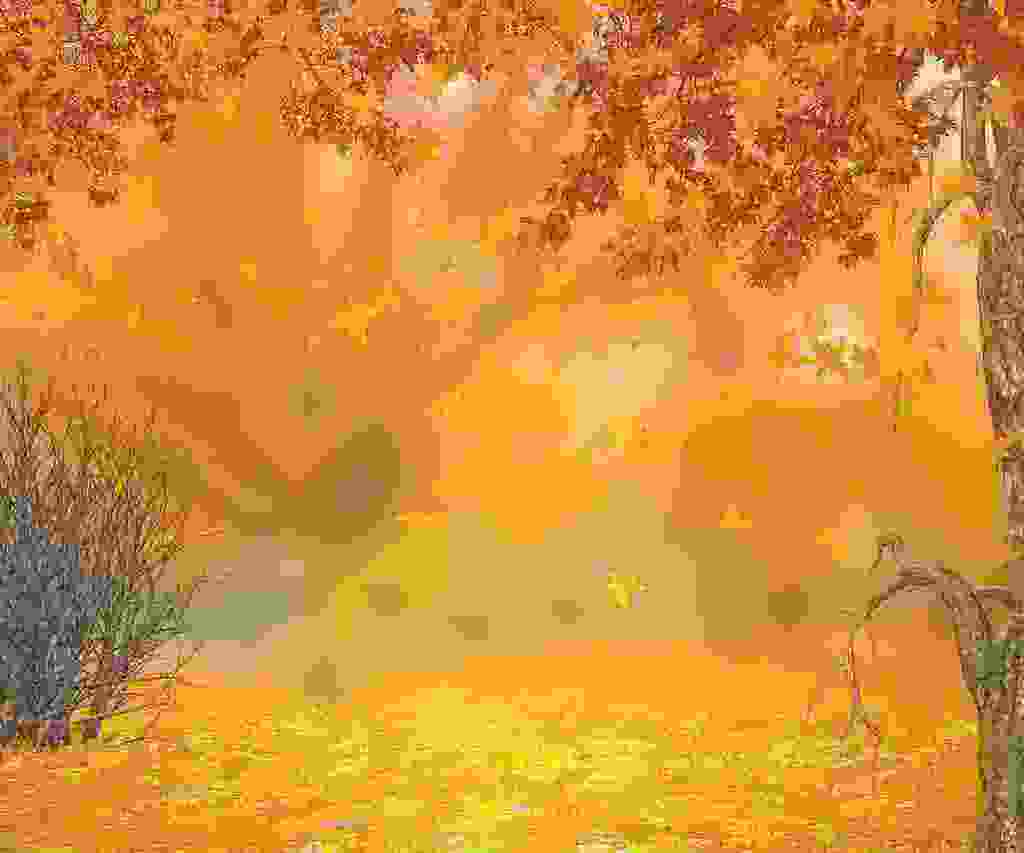 描写秋天的美文精选5篇_美丽的秋天优秀作文5篇