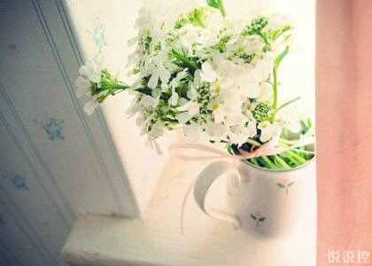 感悟爱情的说说