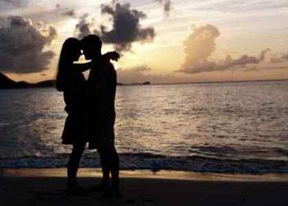 感悟爱情的说说