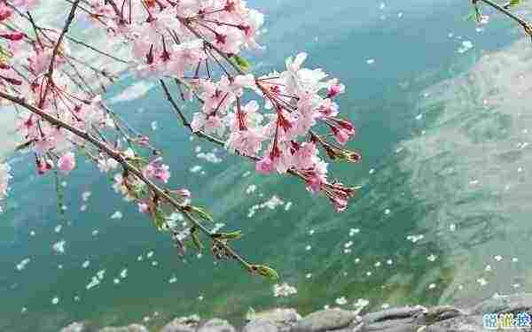 爱情说说我的心里话女生版：我的择偶标准，长得像你，性格像你，最好是你1