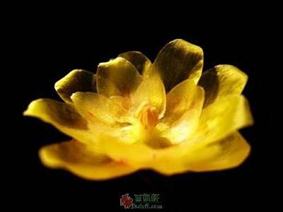 最苦痛的时候有机缘