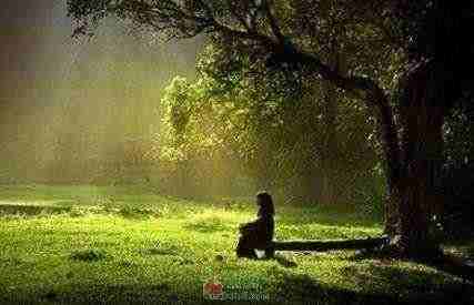 与自己的存在裸裎相见