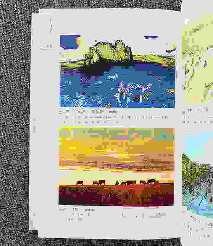 《团购：(精)艺术经典丛书2册》