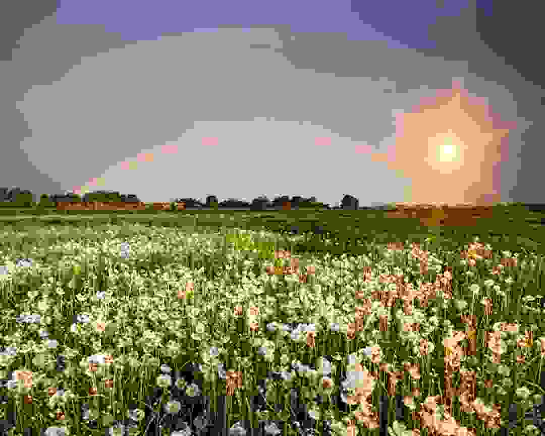 林清玄散文精选摘抄30则