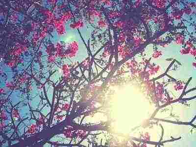 非主流爱情说说