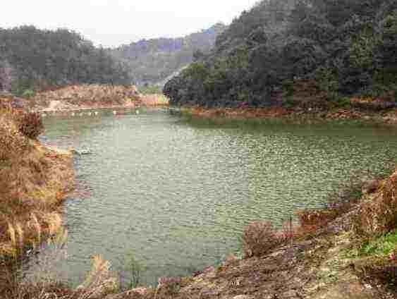 高蟠湾水库