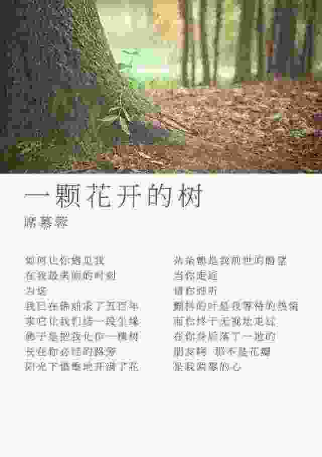席慕蓉《一棵开花的树》：全诗没一个爱字，却写出最深情热烈的爱