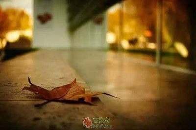 总有一个人要先走