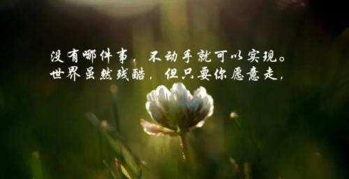 有深度有哲理的文章推荐