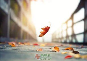 从心所欲不逾矩