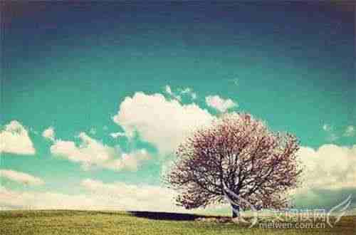 鲁迅美文摘抄600字