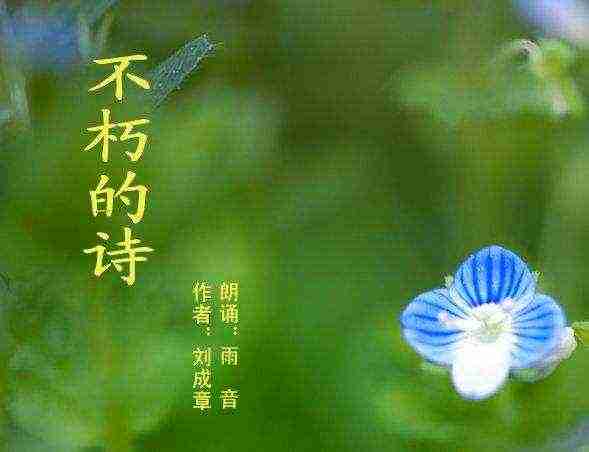 原创散文精选_知识散文随笔科普学习