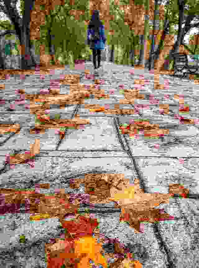 散文,再见,秋天