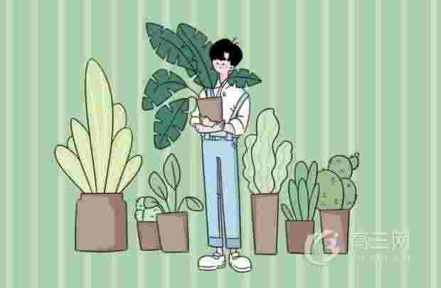 苏轼诗的特点和风格