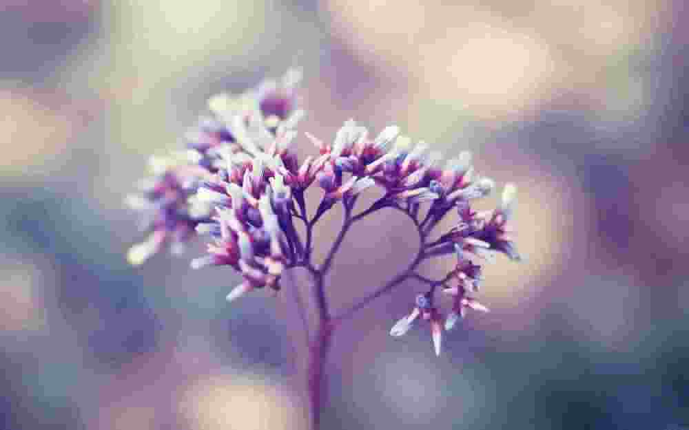 英语美文小短文200字_英文美文短篇200字左右