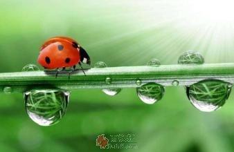 最珍贵的遗产是什么