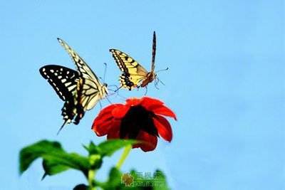 纵一刻，也千秋