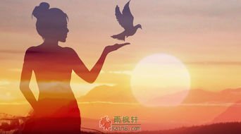 对希望或绝望的选择