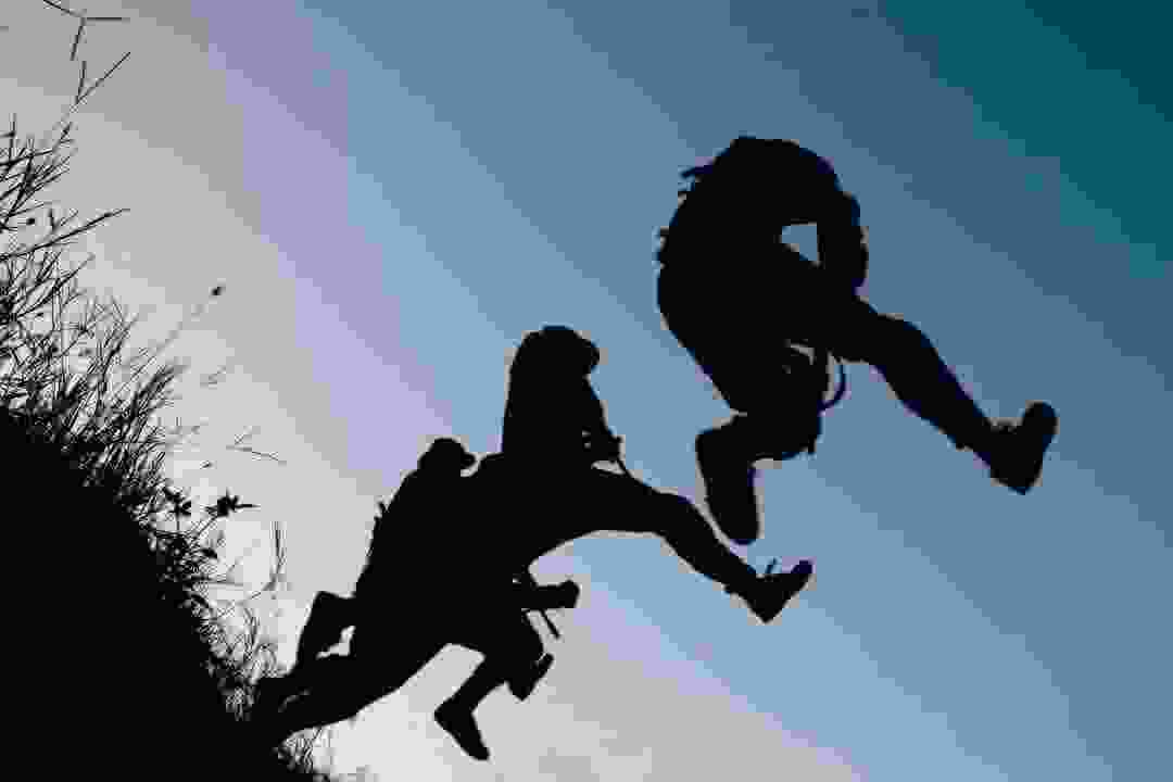 【夜读 · 散文】温暖的“树洞”