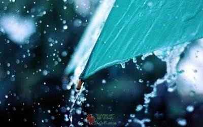 爱情的那场大雨还在下