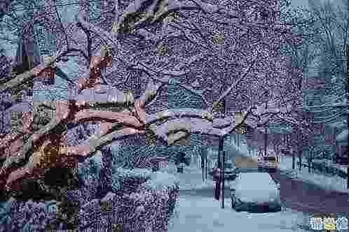 有种痛说不出的心情说说最新 失去一个人的说说难受想哭2