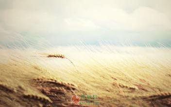 有些事情离我们非常远