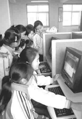 研究性学习成果或探究性学习报告