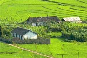 重生小娇妻霍少宠不停阮娇娇霍靳泽全本小说章节目录阅读 第1张 重生小娇妻霍少宠不停阮娇娇霍靳泽全本小说章节目录阅读 第1张