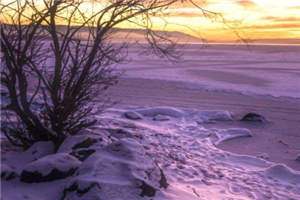 梨花落尽恨见你小说 苏阮梨陆司越在线阅读 第1张 梨花落尽恨见你小说 苏阮梨陆司越在线阅读 第1张