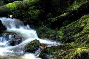 《极品原配重回八零》小说在线阅读 余越陆庭北小说全文 第1张 《极品原配重回八零》小说在线阅读 余越陆庭北小说全文 第1张