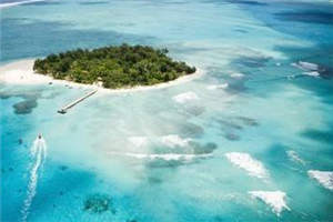 (独家)重生王妃倾天下小说-蓝灵凌尘全文免费阅读 第1张