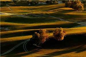 婚后心动：凌总追妻有点甜小说-苏熙凌久泽小说完整版阅读 第1张