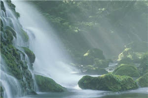 【完结】《识破渣男的101种小知识》小说余义寒于炀全章节阅读 第1张 【完结】《识破渣男的101种小知识》小说余义寒于炀全章节阅读 第1张