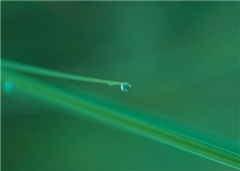 小说章节目录列表阅读《嫡女惊华：王妃暴躁不好惹》李锦夜谢玉渊by怡然