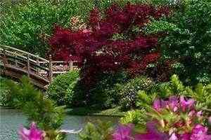 《重生回到未嫁时》在线阅读《沈雪鸢尉洵然》最新章节目录 第1张 《重生回到未嫁时》在线阅读《沈雪鸢尉洵然》最新章节目录 第1张